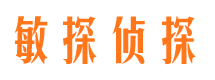 叶城市侦探调查公司